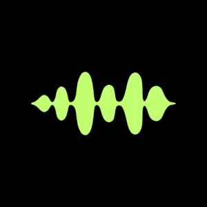 AI Voice - Text to Speech TTS Mod APK