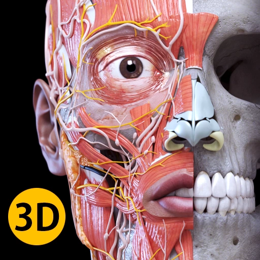 Anatomy 3D Atlas v6.7.0 Premium Mod Download 1 Anatomy 3D Atlas Mod APK