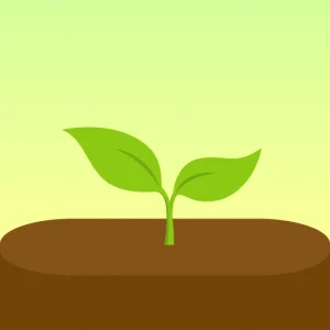 Forest Mod Apk