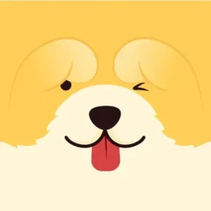 HeyChina Mod Apk