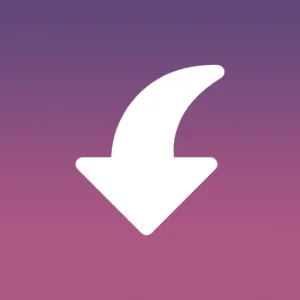 Insget Video & Story Saver Mod