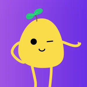 PotatoVPN Mod APK