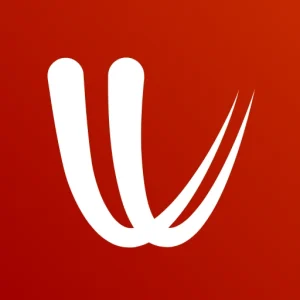 Windy.com - Weather Forecast Mod Apk